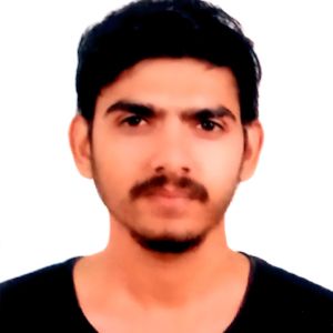 Fellow 1